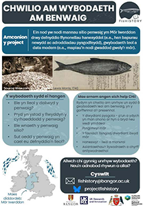 CHWILIO AM WYBODAETH AM BENWAIG poster