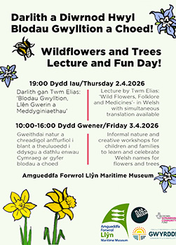 Poster Darlith a Diwrnod Hwyl Blodau Gwylltion a Choed!